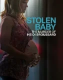 Stolen Baby The Murder of Heidi Broussard (2023)